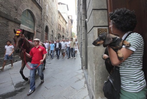 PALIO SIENA