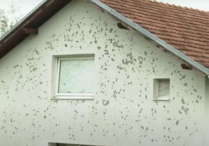 nevreme, Kozarska Dubica