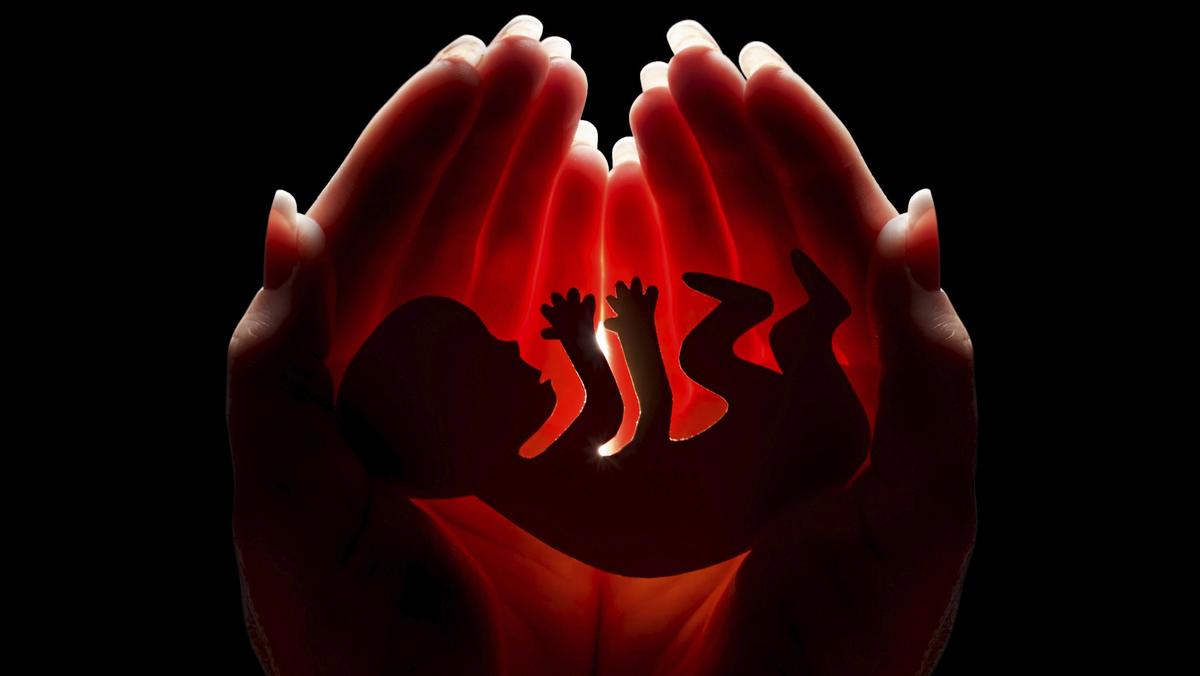 aborcja płód