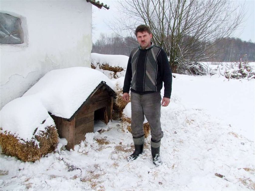 Przez niego zamarazły te pieski