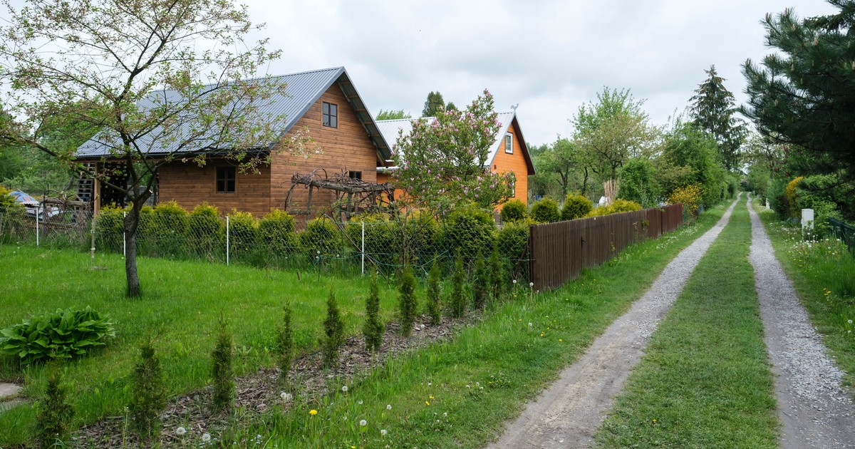 Piotr wydzierżawił działkę, by w końcu mieć coś swojego. "Sposób na zachowanie godności"