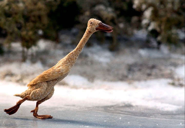 Zdobył tam również najważniejszy laur - nagrodę publiczności