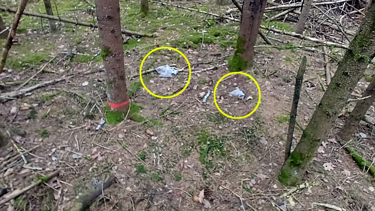 Niecodzienne znalezisko w puszczy. Leśnicy natknęli się na tajemnicze woreczki. Co to za dziwne pakunki?