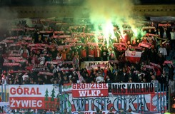 Bójki pomiędzy polskimi kibicami w Erywaniu. Z trybuny wypchnięto prezydenta Sopotu