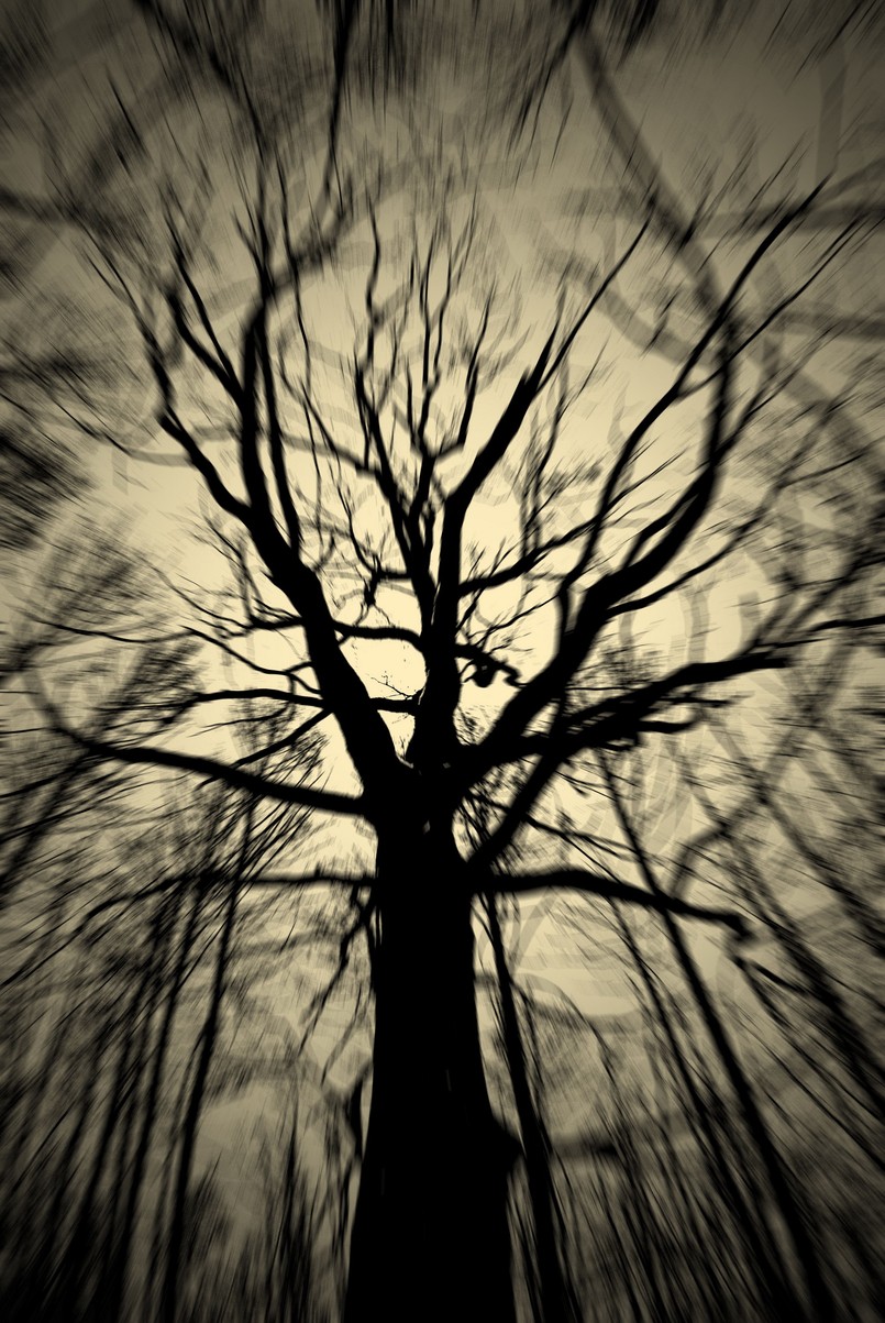 Najpiękniejsza natura