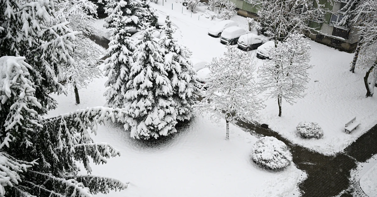 Atak zimy na Podkarpaciu. Ponad 80 tys. gospodarstw bez prądu, ostrzeżenie IMGW