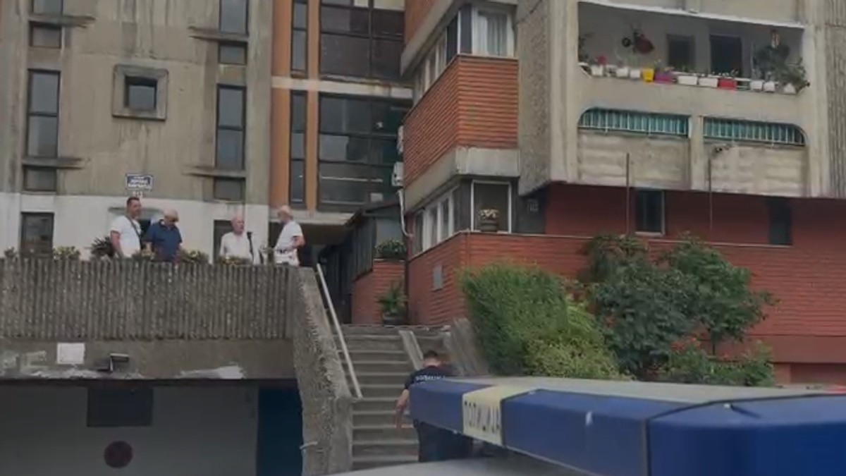 Sin ubio majku na Novom Beogradu