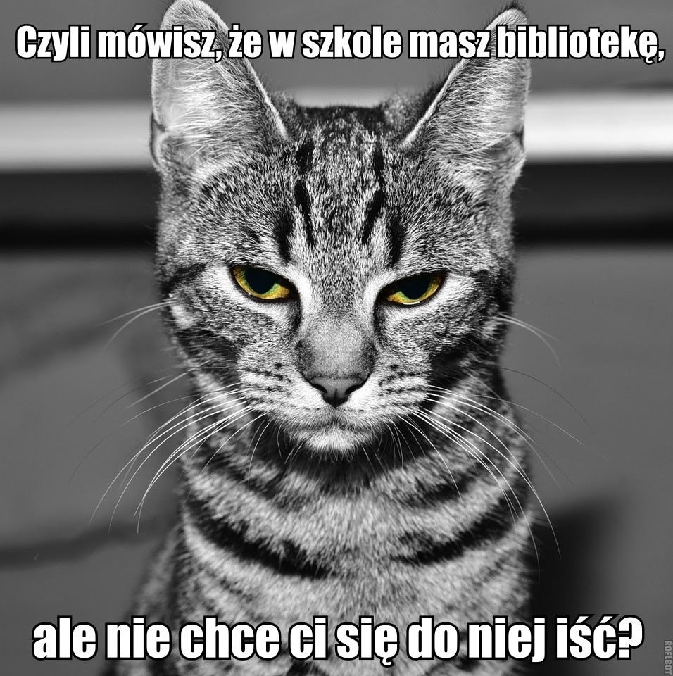 Dzień Bibliotekarza i Bibliotek. Te memy to samo życie! - Kobieta
