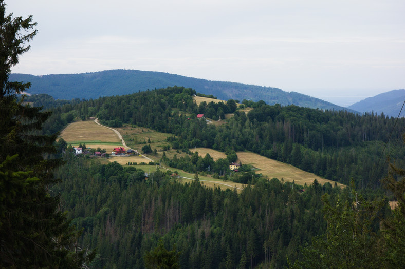 Widok z Wielkiego Stożka