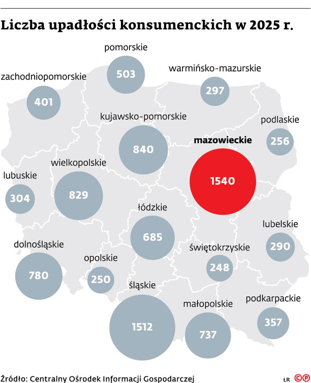Liczba upadlosci konsumenckich w 2025 roku