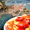 Ubod stršljena i trovanje gamborima na crnogorskom primorju