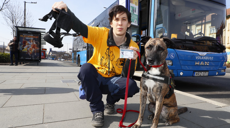 Maja és Rusty rendszeresen konfliktusba kerül a buszsofőrökkel /Fotó: Fuszek Gábor