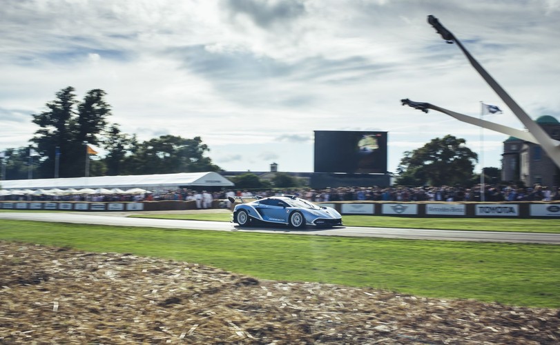 Arrinera hussarya GT