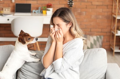 Állatszőr allergia - így csillapíthatók a tünetek
