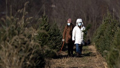 Nietypowy świąteczny problem Amerykanów. Brakuje im choinek