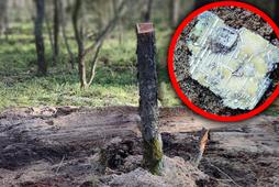 W lesie w Zamościu znaleziono obiekt wojskowy