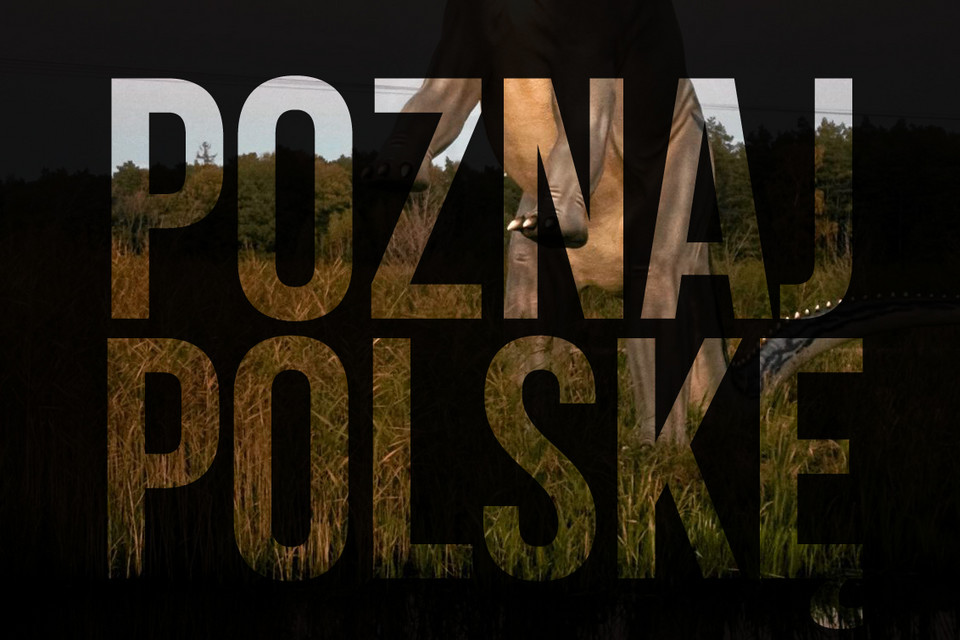 Poznaj Polskę - Pomorskie