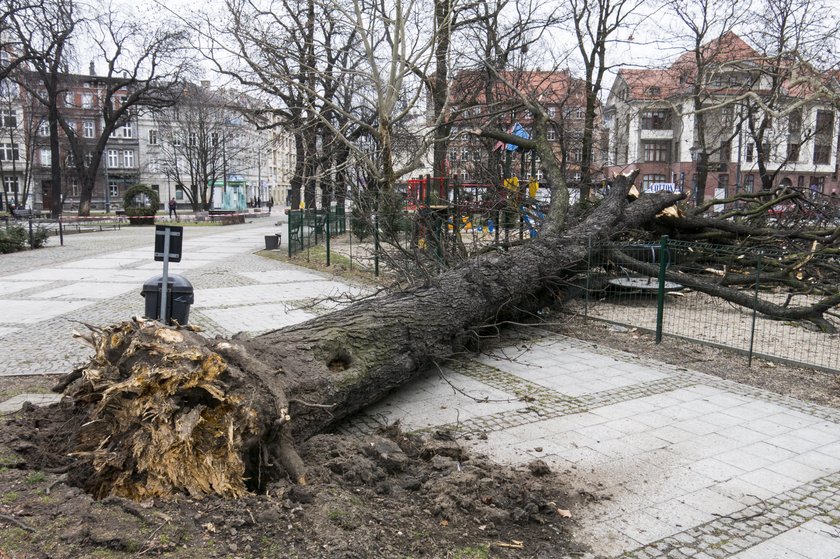 Skutki silnych wichur nad województwem śląskim