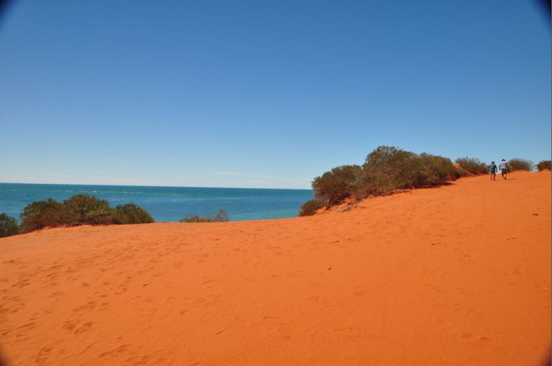 Czerwona australijska ziemia