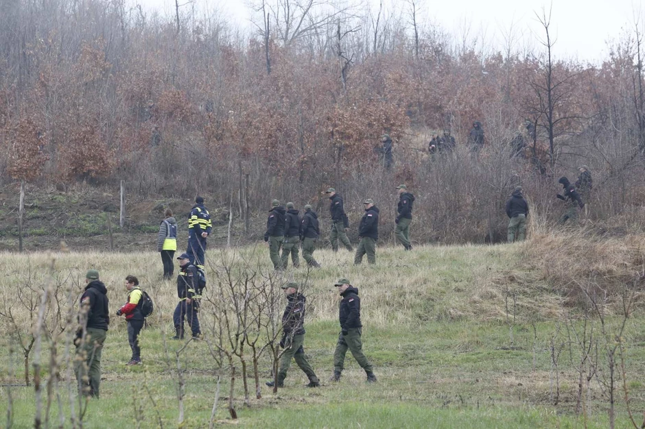 Potraga za Dankom Ilić