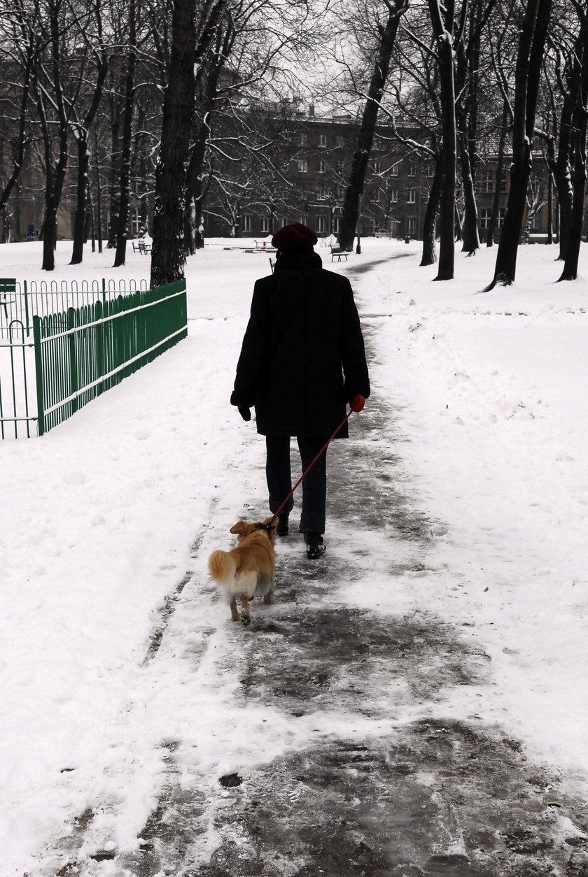 W kilku parkach w Poznaniu nadal obowiązuje zakaz wstępu dla psów