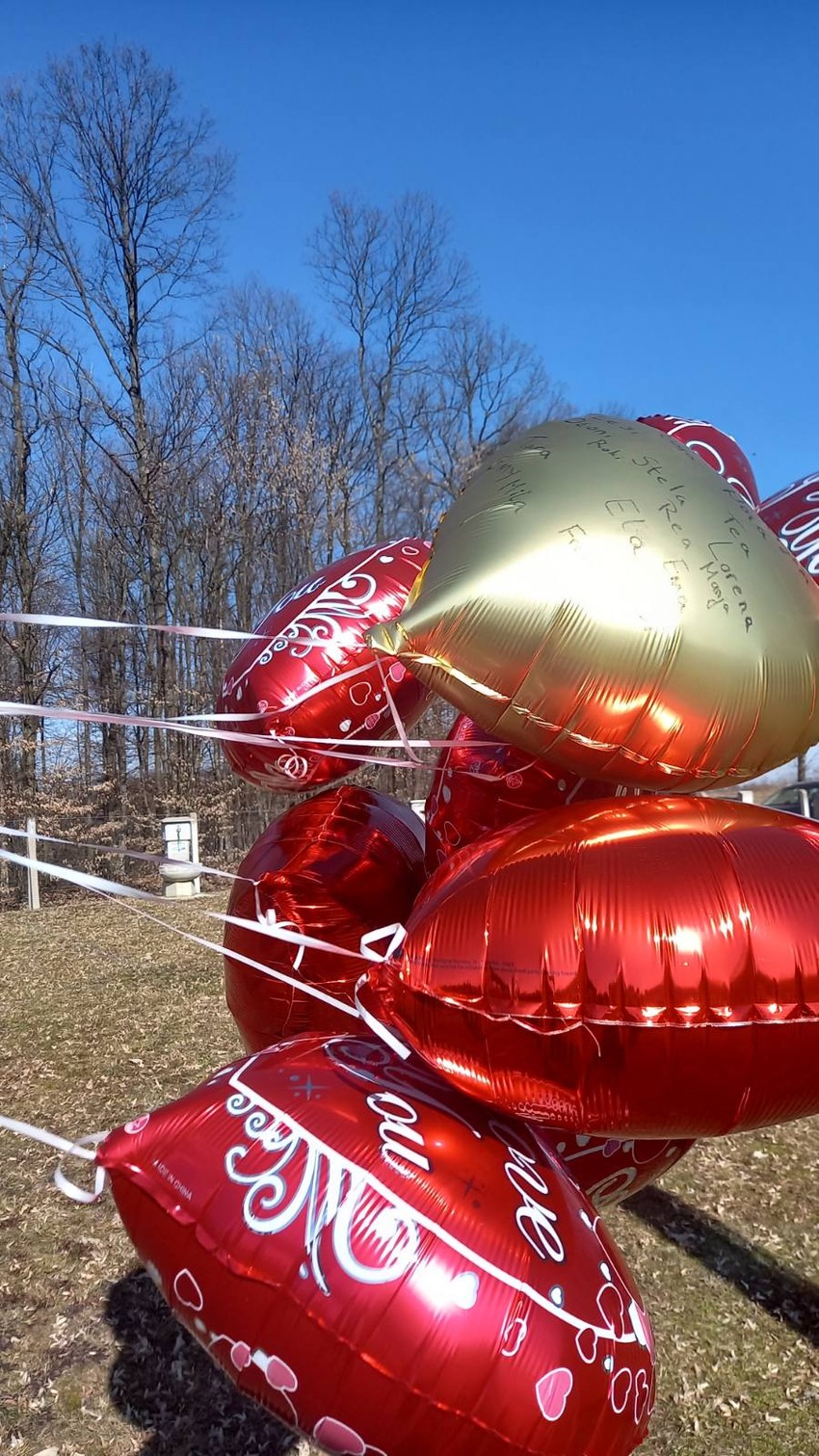 goran-karanovic-dvadeseti-rodjendan-3