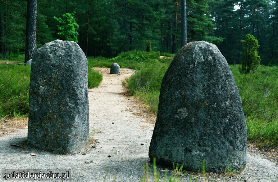 Rezerwat Kamienne Kręgi w Odrach