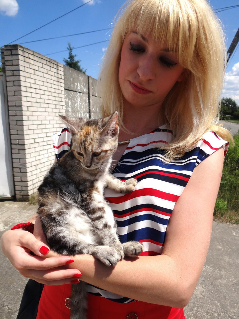 Zaginiona kotka Valentina odnalazła się w urzędzie 