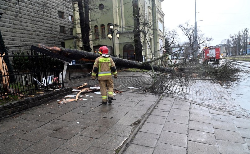 usuwanie skutków wichury