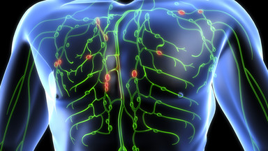 Układ limfatyczny odpowiada za utrzymanie właściwego poziomu gospodarki wodnej. Co jeszcze musisz o nim wiedzieć?