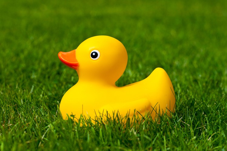 Poniższa historia dotyczy osoby, która pracowała w tej samej firmie od 10 lat i zaczęła rozglądać się za zmianą otoczenia. Badania pokazują, że ok. 50 proc. pracowników traktuje swoje obecne miejsce zatrudnienia wyłącznie jako przystanek w karierze. Pierwsza rozmowa od dekady była bardzo stresująca. Gdy Richard wychodził na rozmowę z domu otrzymał od córki „na szczęście” plastikową krowę. Podczas rozmowy spec od HR-u zapytał go bezpośrednio: „ skąd wiem, że pasujesz do tej pracy? Richard bez wahania odparł: „ponieważ mam krowę w kieszeni!”, po czym wyjął zabawkę na środek stołu. Rozległa się salwa śmiechu. Pracę dostał.