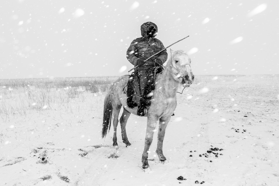 Fotograf roku – Frederik Buyckx, Belgia 