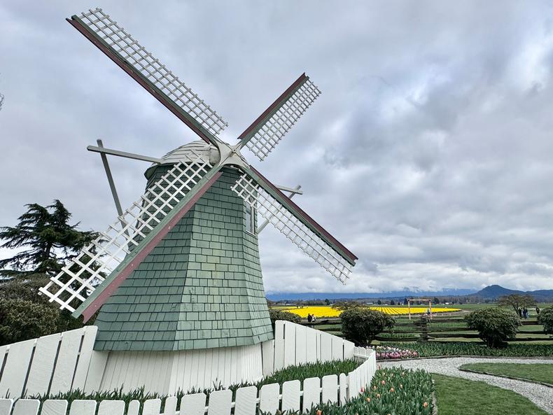 Voordat ik de velden betrad, vond ik een replica van een Nederlandse windmolen.  Bernadette Rankin