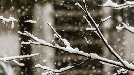Ránk rúgta az ajtót a tél: Bánkúton több mint tíz centi hó esett az este – fotók, videók 