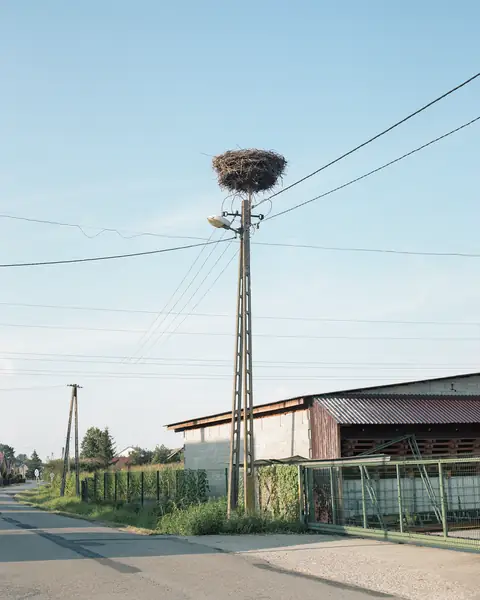 Polska wieś na wystawie &quot;Trouble in paradise&quot;, czyli &quot;Problemy w raju&quot;