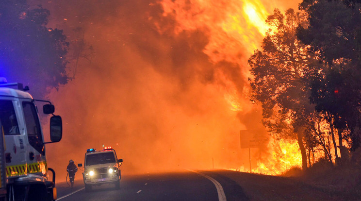 Ausztráliában egyre nagyobb pusztítást végez a bozóttűz / Fotó: AFP