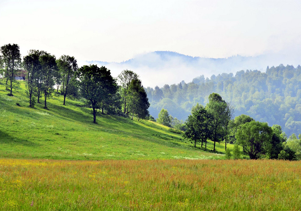 Bieszczady