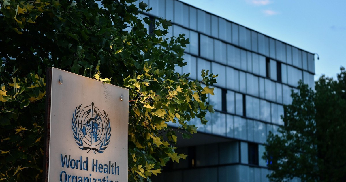 WHO alarmuje: wybuchła rzadka epidemia gorączki doliny Rift. Nie żyje już ponad 40 osób