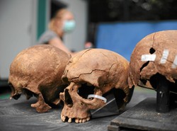 "Identyfikacja ofiar z Powązek może trwać latami". Genetyk wyjaśnia