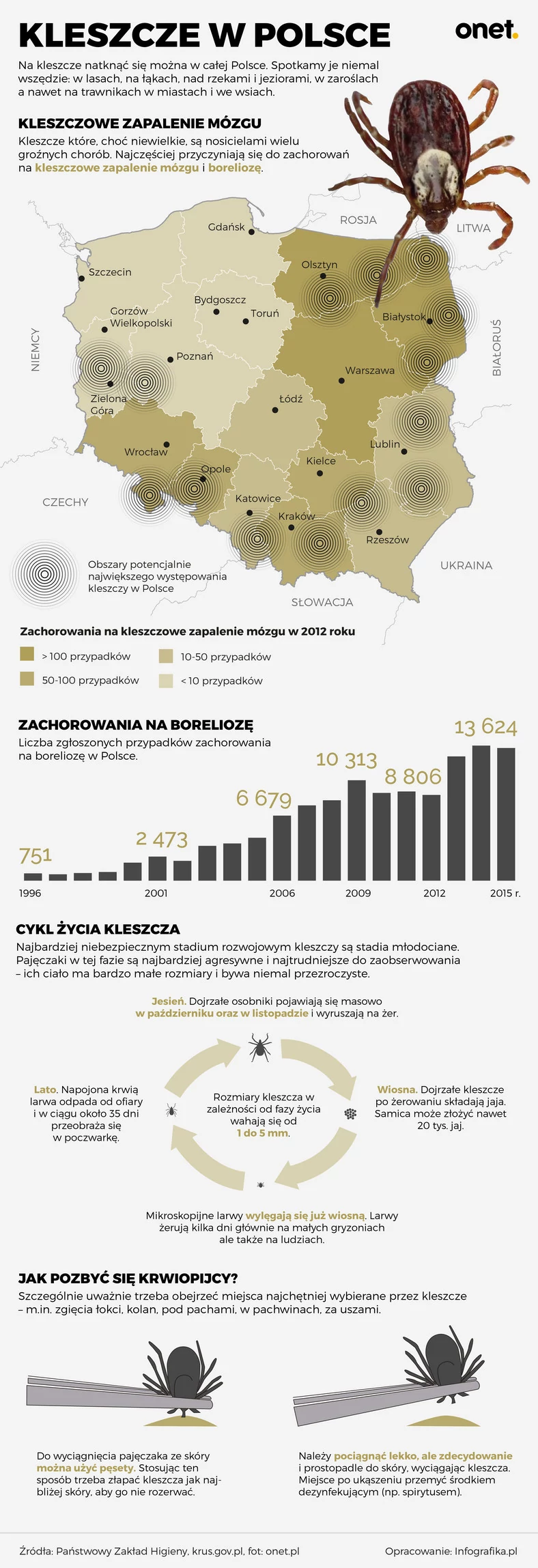 Kleszcze w Polsce - infografika