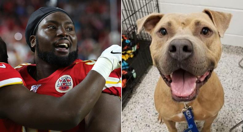 Kansas City Chiefs' Derrick Nnadi, left, and Channing, a dog up for adoption, right.