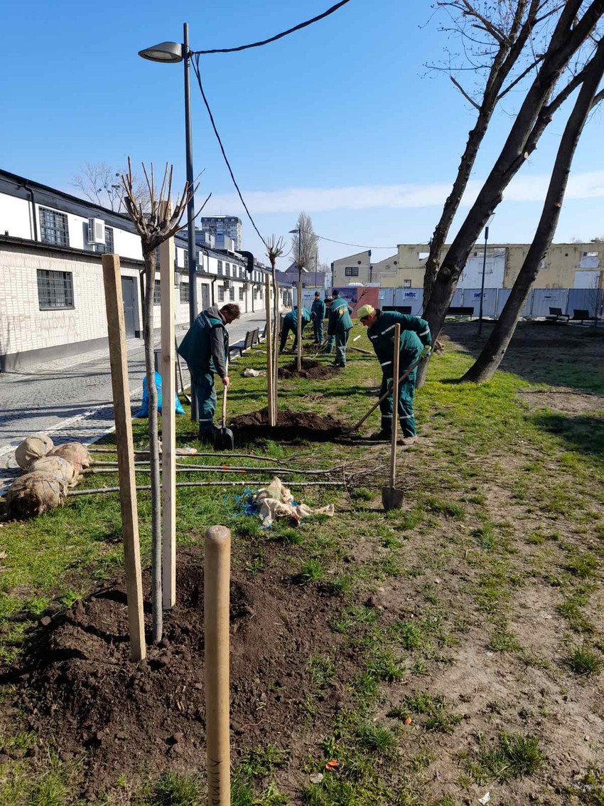 IMG-e6475cfa6ee7d5c926c209f4fbb007b4-V