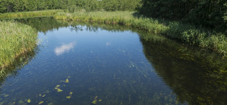 Wyciek ścieków do Czarnej Hańczy. Ruszyło śledztwo