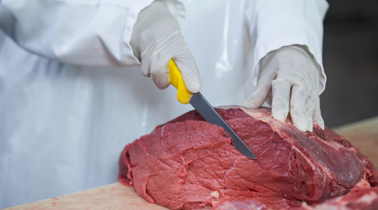 Húsipari vállalkozókat vádolnak költségvetési csalással / Illusztráció: Northfoto