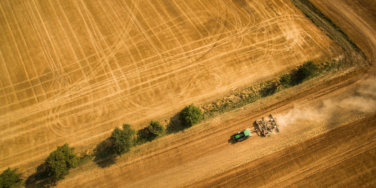 Rząd na pomoc gospodarstwom dotkniętym suszą ma przeznaczyć 799,5 mln zł