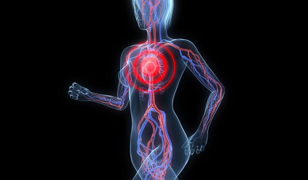 147104_ljudsko-telo-foto-01-shutterstock