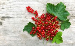 Letnie owoce. Jaki mają wpływ na zdrowie? [WIDEO]