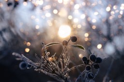 przesilenie zimowe 2025. te cztery znaki zodiaku poczują, że żyją