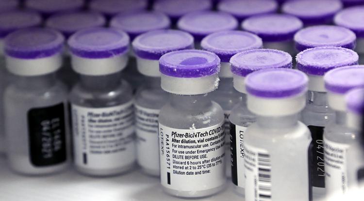 Újonnan érkezett Pfizer-BioNTech-vakcinák a Semmelweis Egyetem gyógyszertárában 2021. január 12-én