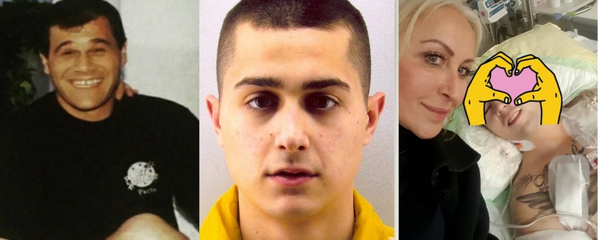 Porodica Vilotijević